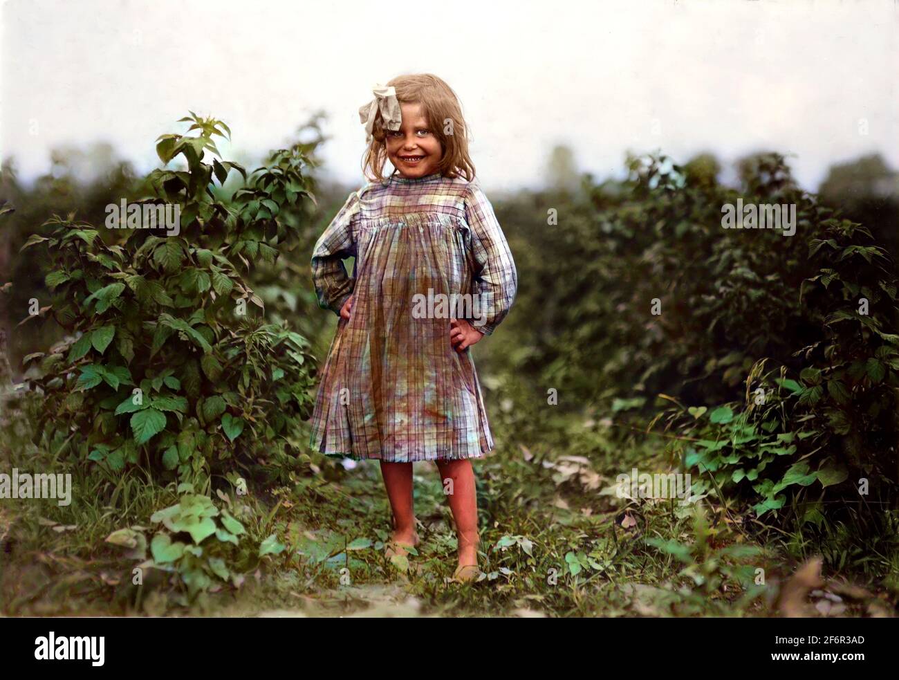 Beerenpflücker für Kinder Stockfoto