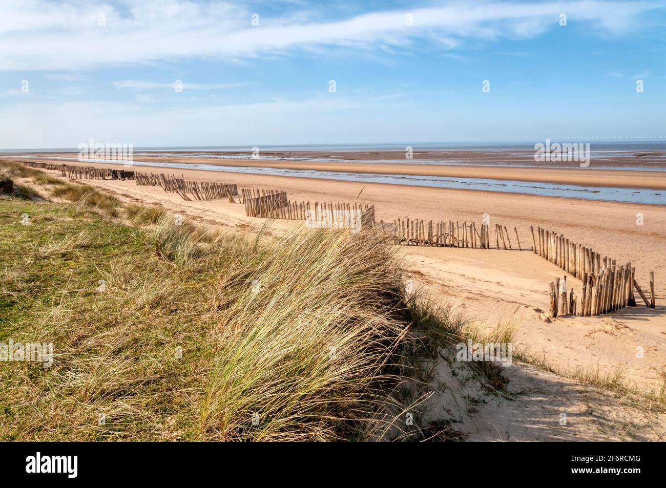 Ein leerer Holme-next-the-Sea Strand, North Norfolk. Mit Marrammgras bedeckte Dünen, Ammophila arenaria. Stockfoto