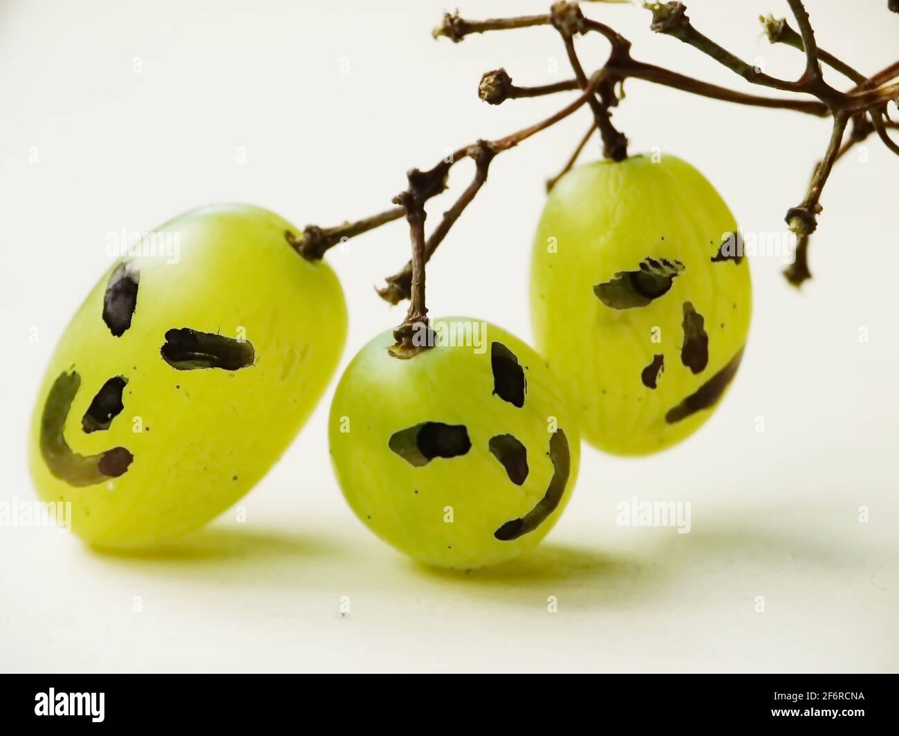 Lustige Gesichter auf Trauben Stockfoto