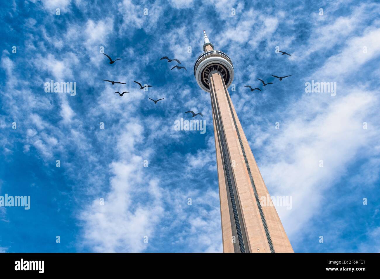 Der Cn Tower Ein Kanadisches Symbol Und Internationales Wahrzeichen Ist Aus Einer Ungewohnlichen Sicht Zu Sehen Stockfotografie Alamy