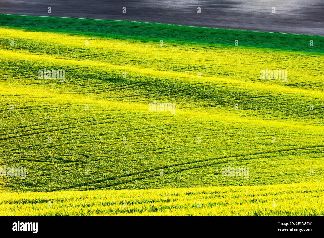 Abstrakte ländliche Landschaft mit landwirtschaftlichen Feldern auf Quellhügeln. Region Südmähren, Tschechien Stockfoto