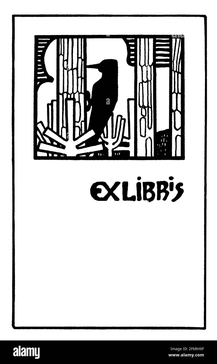Minimalistisches, modernes, vereinfachtes Specht-Exlibris-Bücherregal mit leerem Namen Teller des finnischen Architekten Birger Brunila aus dem 1903 Studio Magazine Stockfoto