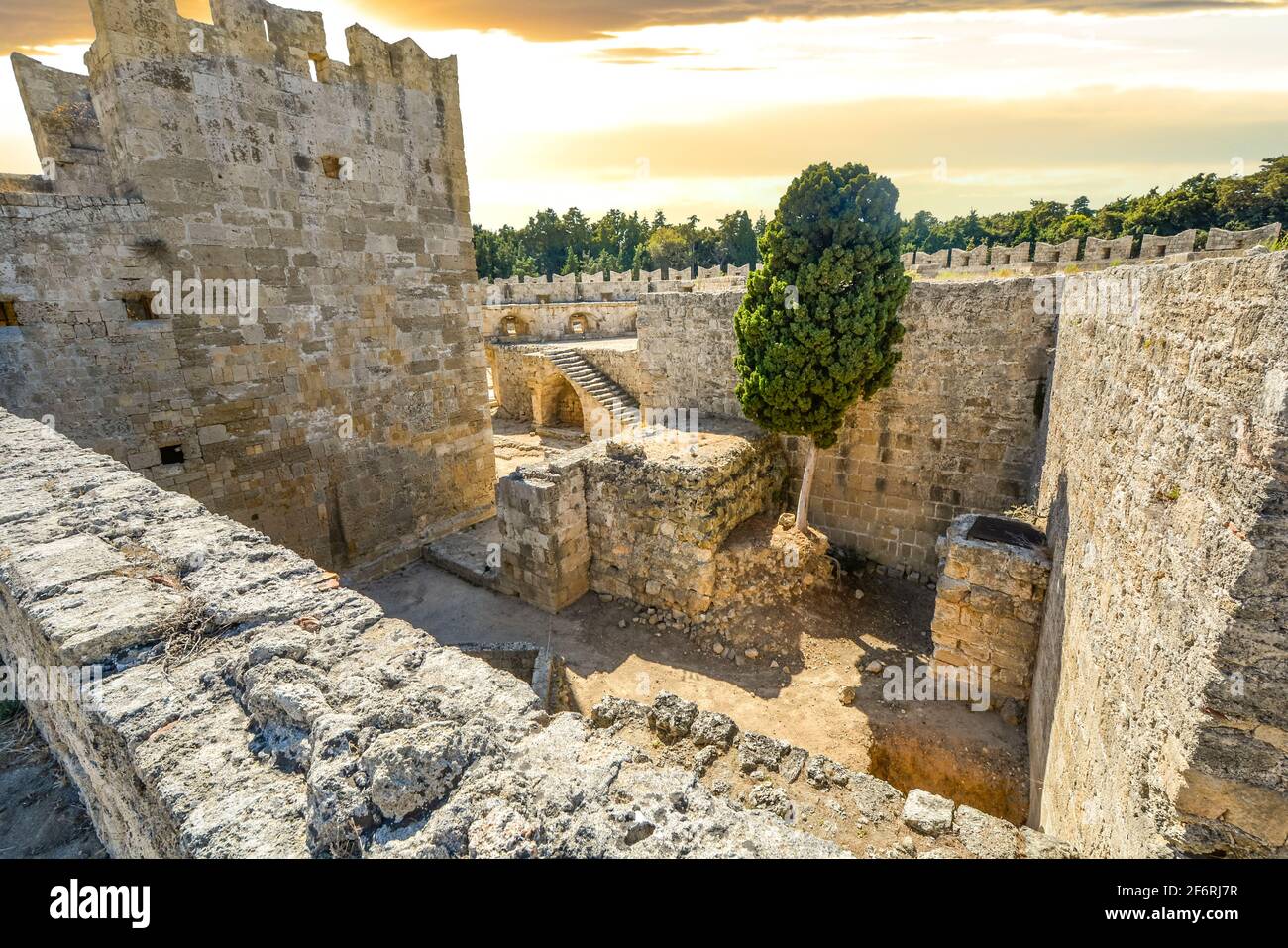 Ein streunender, wilde Katze sitzt unter den alten Ruinen der Burg in Rhodos Rhodos Griechenland an einem sonnigen Tag Stockfoto