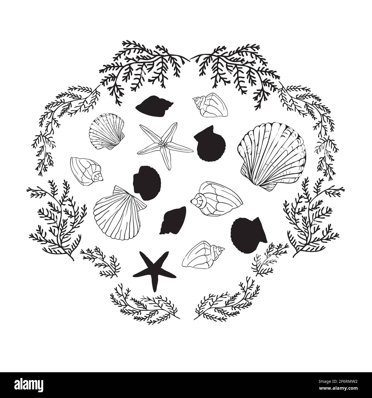 Shells Kollektion. Vektor-Set mit Muscheln und Seesterne für Sie Design Stock Vektor