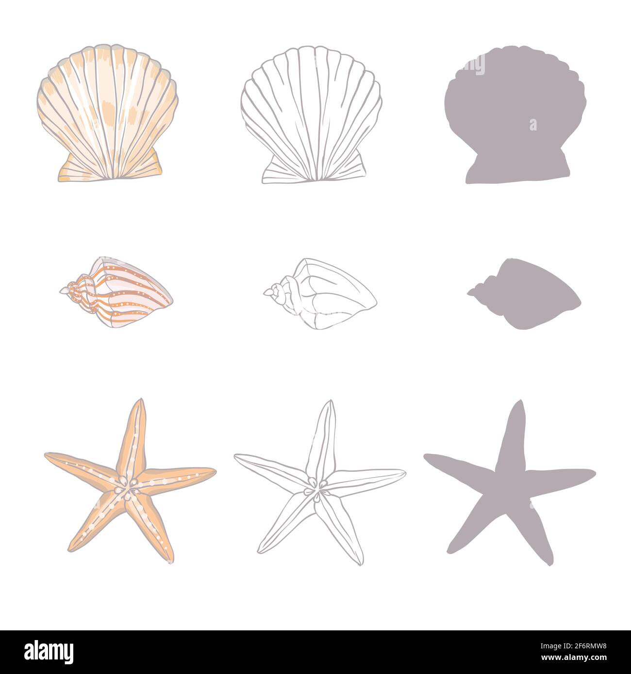 Shells Kollektion. Vektor-Set mit Muscheln und Seesterne für Sie Design Stock Vektor