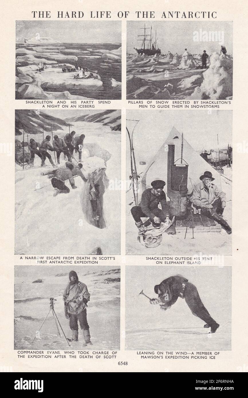 Südpol, Antarktis - Vintage schwarz-weiß Fotos / Illustrationen - Shackleton / Scott / Evans / Mawson. Stockfoto