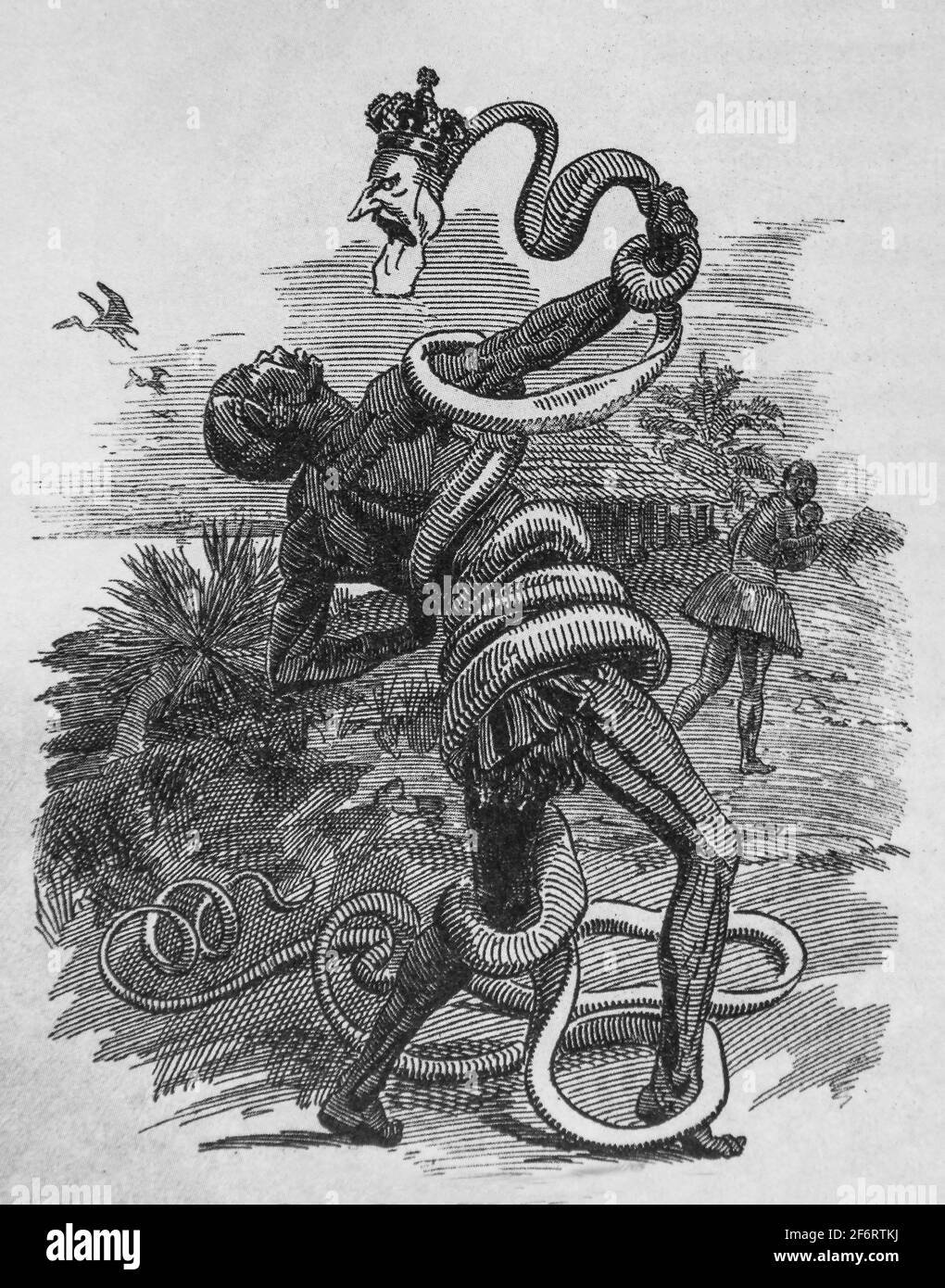 Congo, veröffentlicht 1906 in The Punch (UK). , Léopold II als Gummischlange, die dich im Kongo umbringt. Stockfoto
