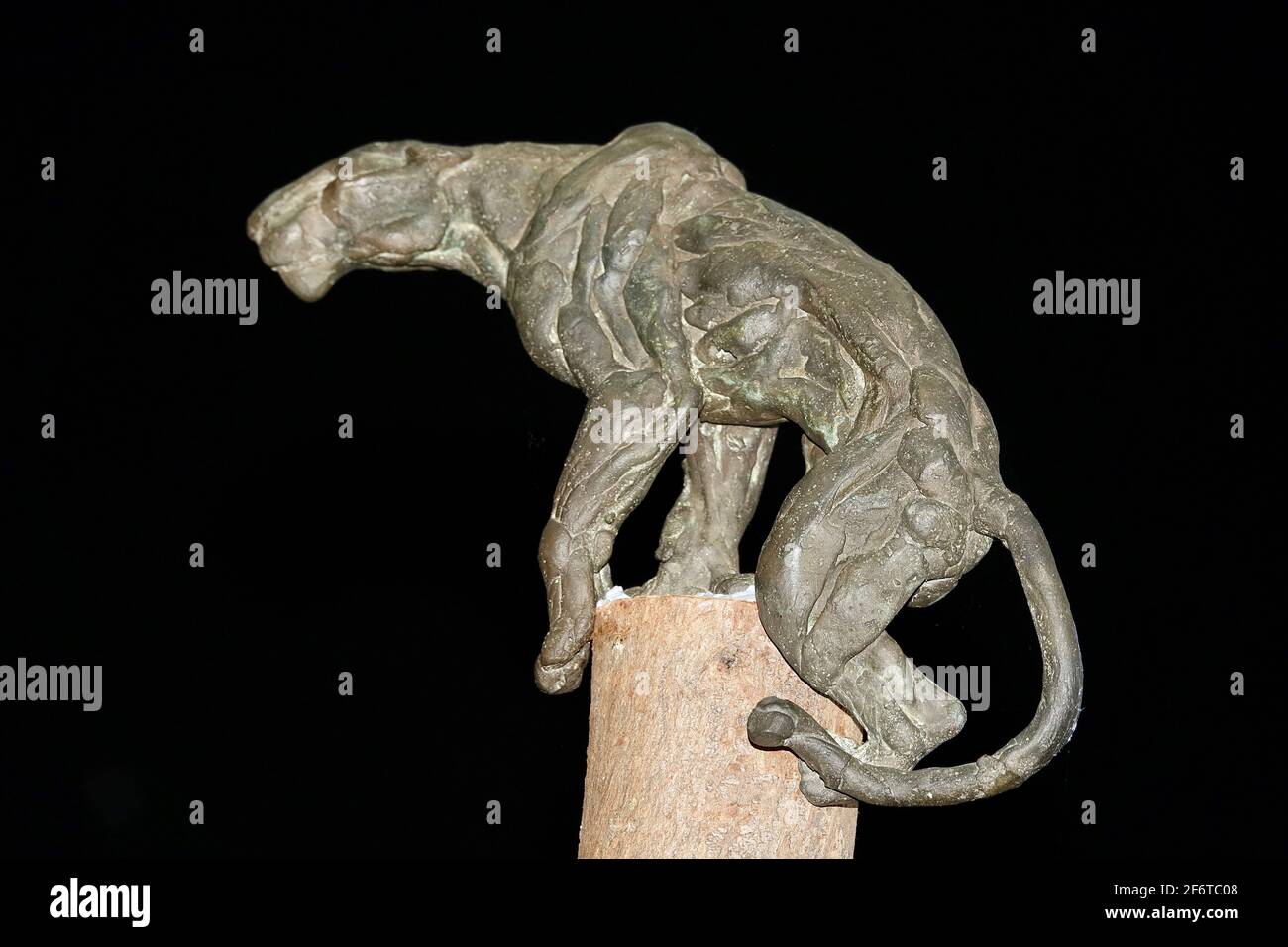 Bronze-Panther, das Werk des in Granada geborenen Bildhauers José Miguel Pino, ausgestellt im Moneo-Raum in Jaén (Spanien) Stockfoto