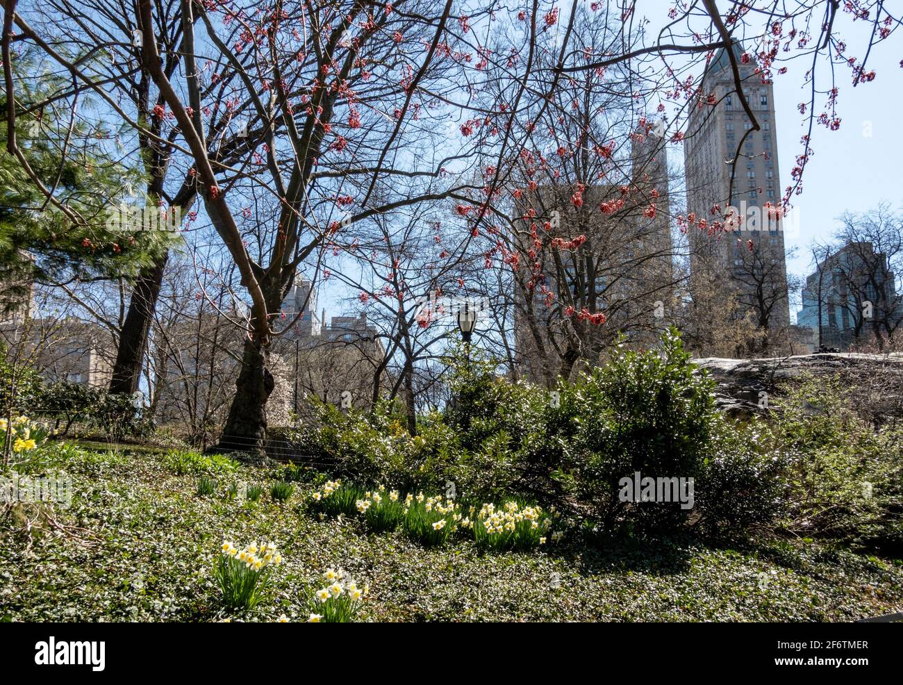 Der Central Park ist eine urbane Oase im Herzen von Manhattan, New York City, USA Stockfoto