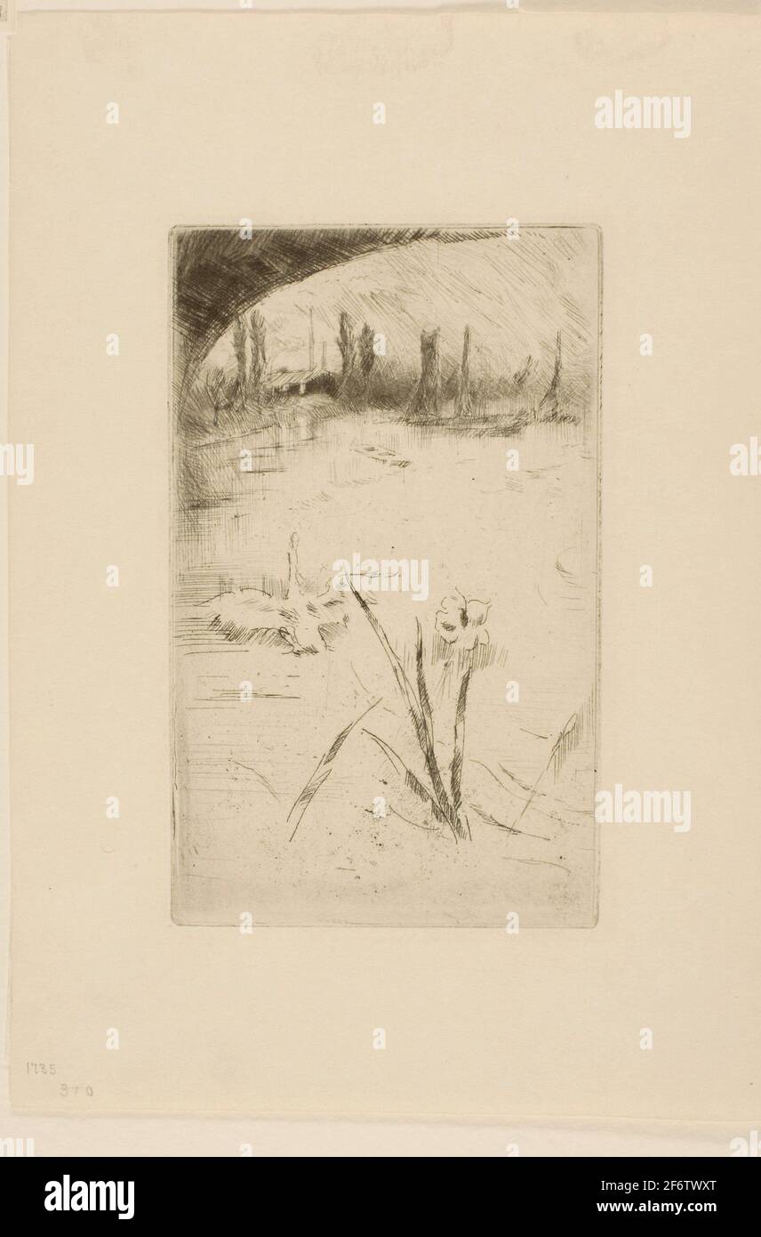 James Mcneill Whistler. Skizze Nach Cecil Lawson-S --Swan And  Iris---1882-James Mcneill Whistler American, 1834-1903. Ätzung Und  Trockenpunkt Mit Foul Stockfotografie - Alamy
