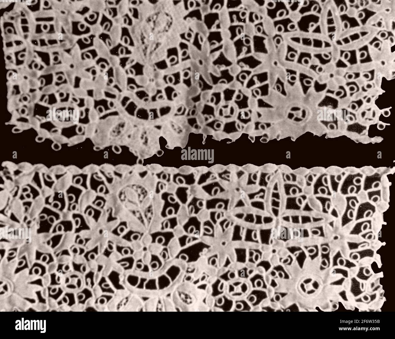 Grenze und zwei Fragmente - 1850 - 1900 - Irland, Carrickmacross. Baumwolle, Leinwandbindung; in Couching bestickte Schnittarbeiten mit Knopflochleisten; Stockfoto