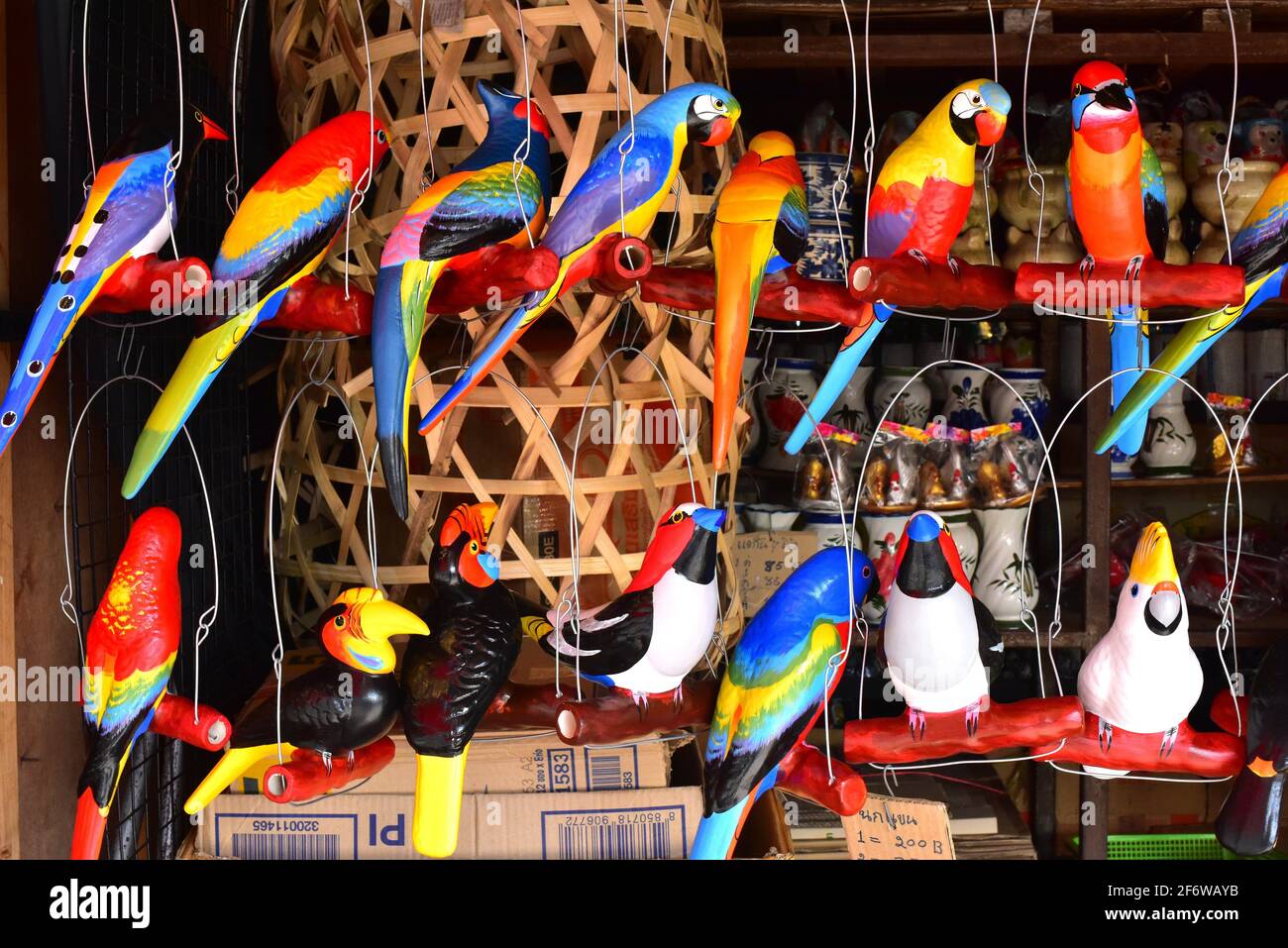 Vögel von thailand -Fotos und -Bildmaterial in hoher Auflösung – Alamy