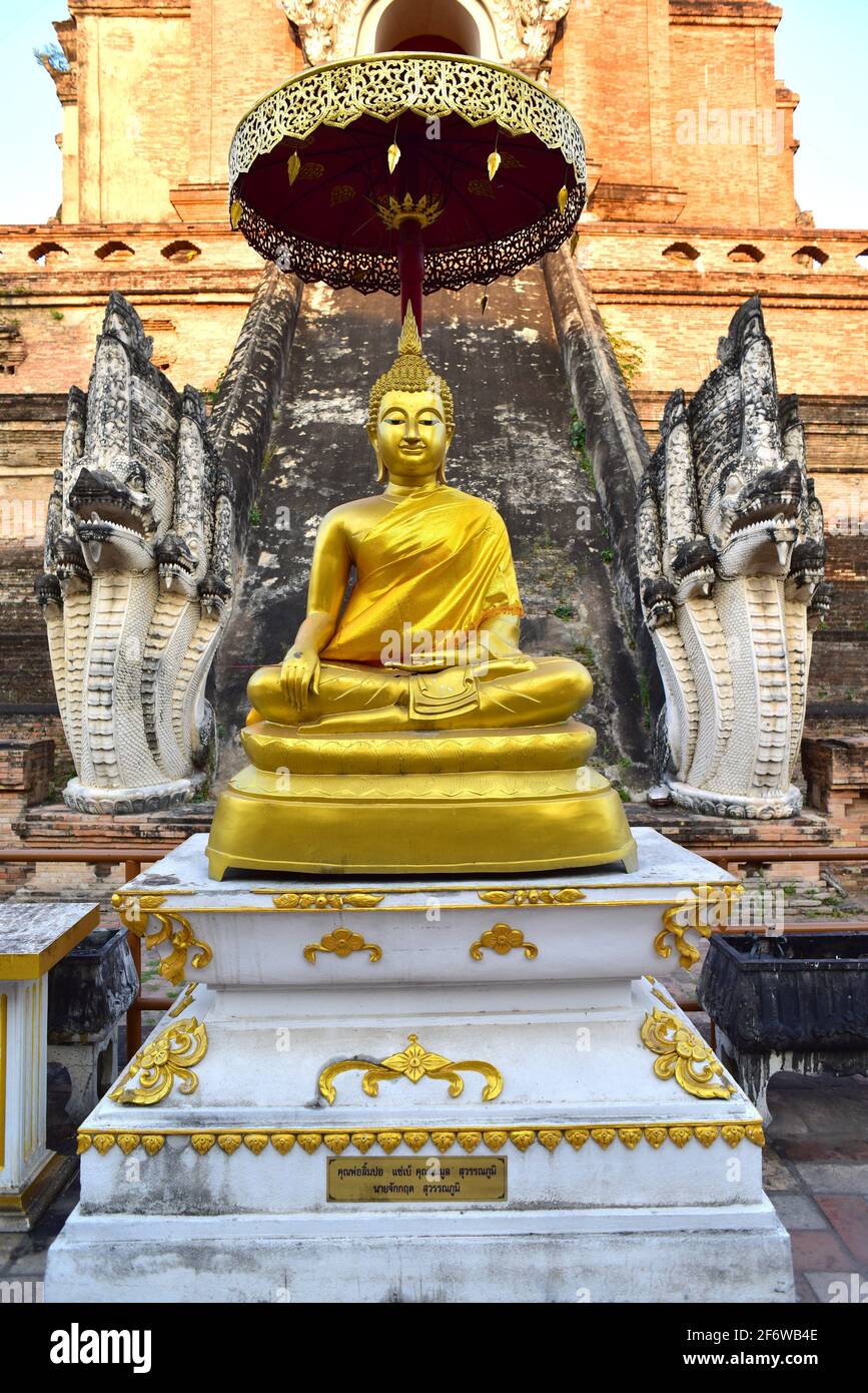 Chiang Mai, Wat Chedi Luang (14. Jahrhundert). Thailand. Stockfoto
