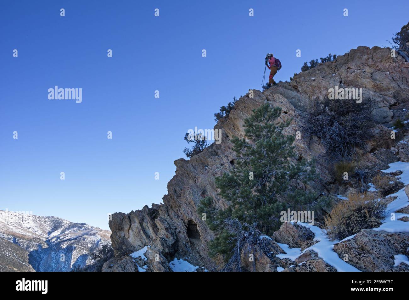 Frau, die einen Grat in den White Mountains von Kalifornien hinuntersteigt Mit Felsen und Schnee Stockfoto