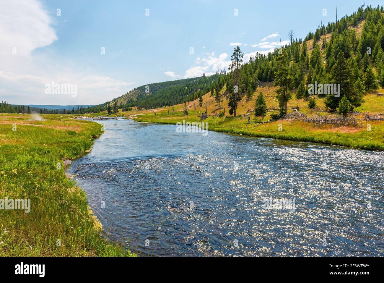Yellowstone-Fluss im Sommer, Yellowstone-Nationalpark, Wyoming, Vereinigte Staaten von Amerika (USA). Stockfoto