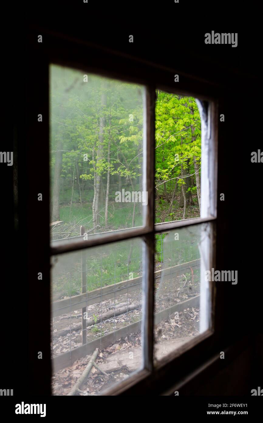 Bäume können durch dieses zerbrochene Scheunenfenster in Indiana, USA, gesehen werden. Stockfoto
