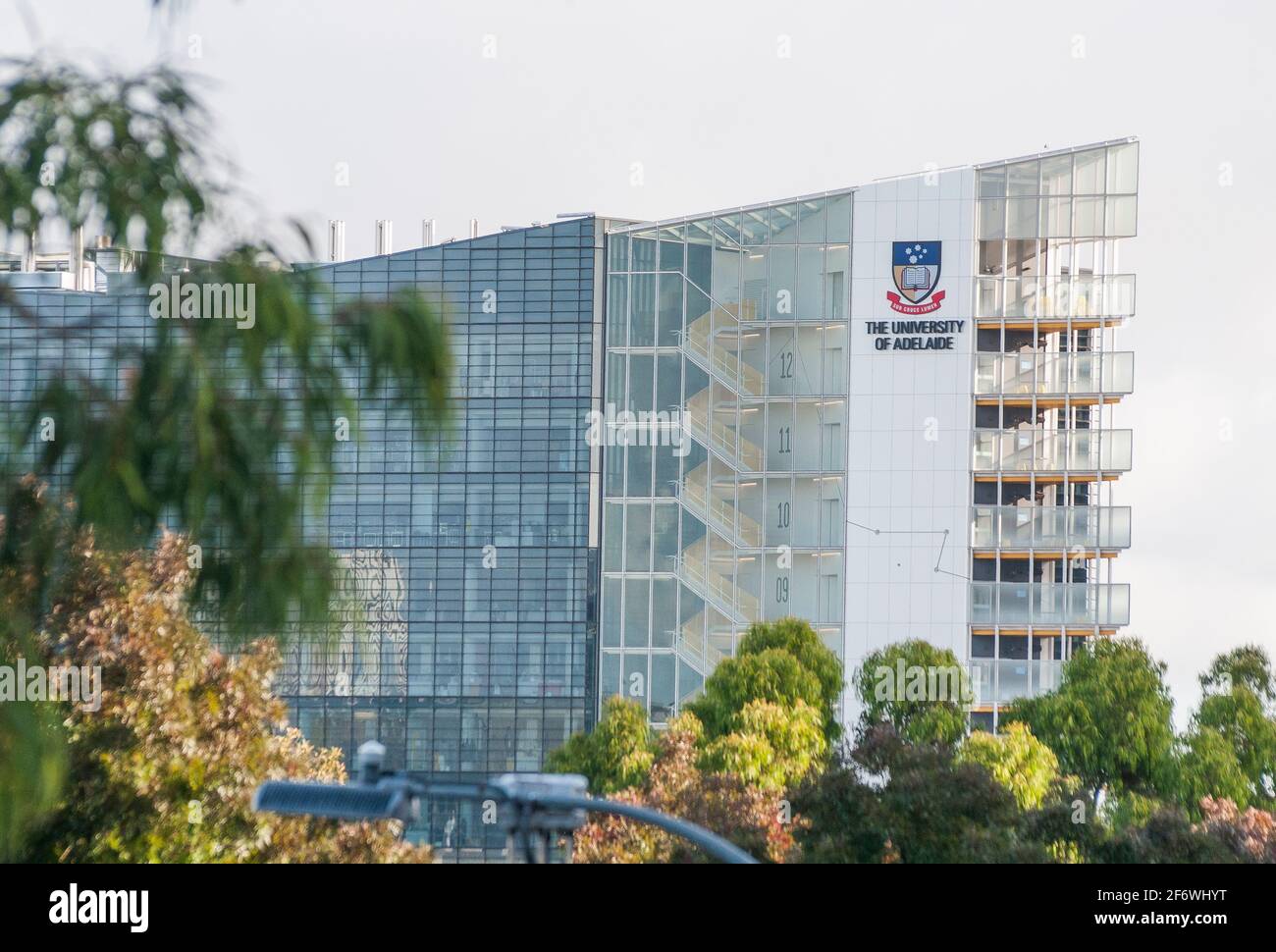 South Australian ImmunoGENomics Cancer Institute (SAiGENCI), ein neu gegründter Campus der University of Adelaide, South Australia Stockfoto