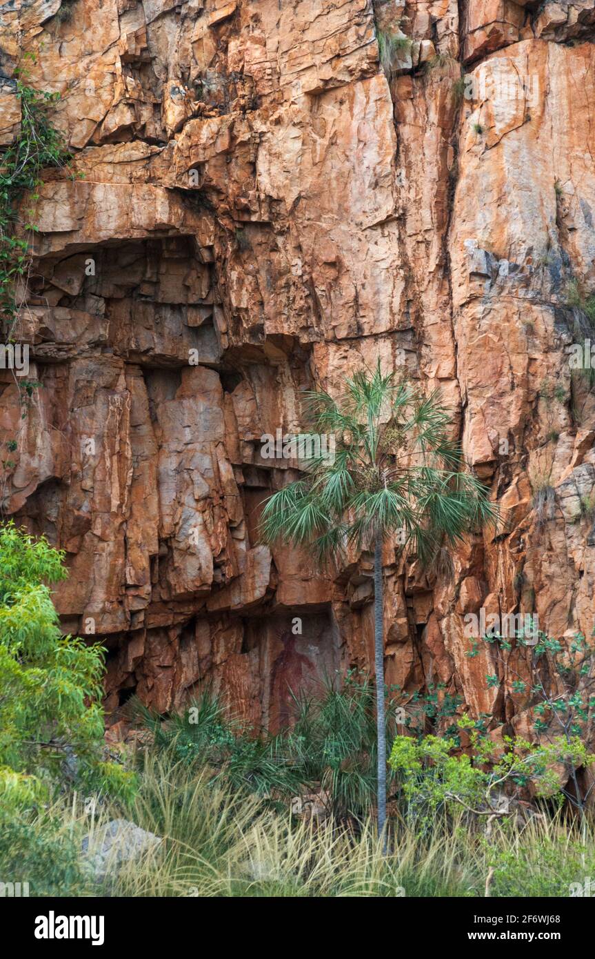 Nitmiluk (Katherine) Gorge spät in der Regenzeit, Katherine, Northern Territory, Australien. Die Felskunst der Aborigines von Jawoyn ist sichtbar. Stockfoto