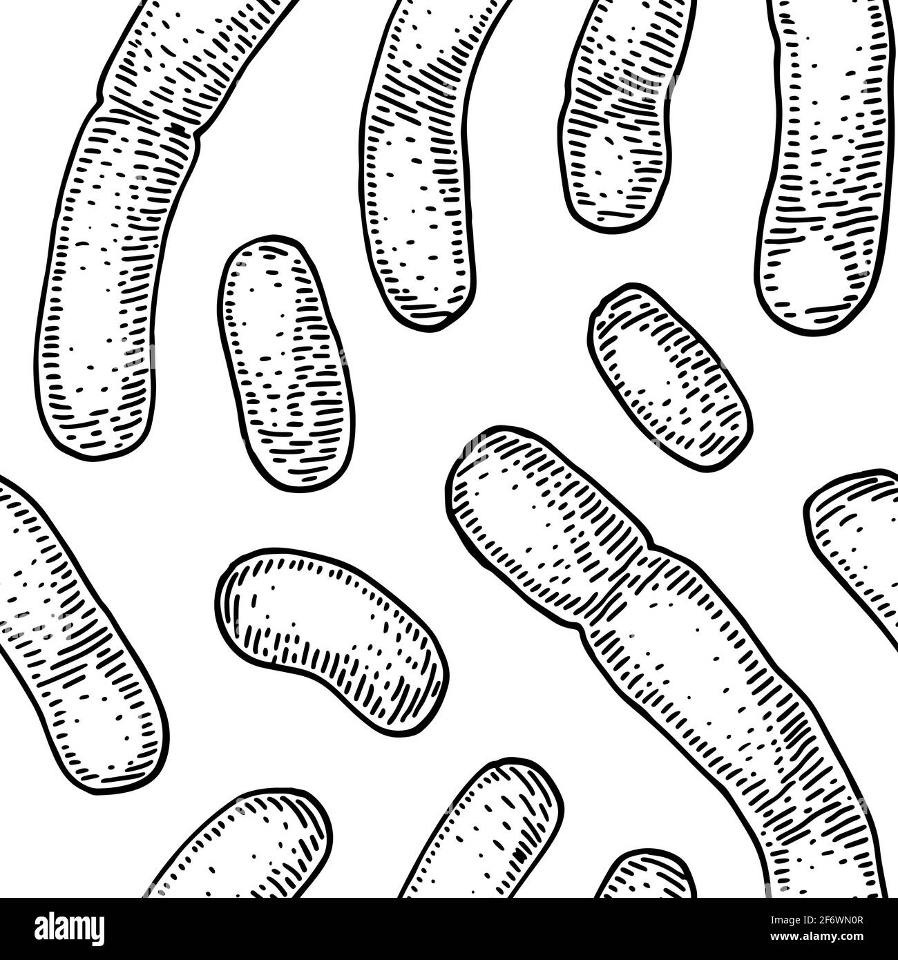 Nahtloses Bakterium-Muster in realistischem Skizzenstil. Handgezeichneter medizinischer Hintergrund. Vektorgrafik Stock Vektor