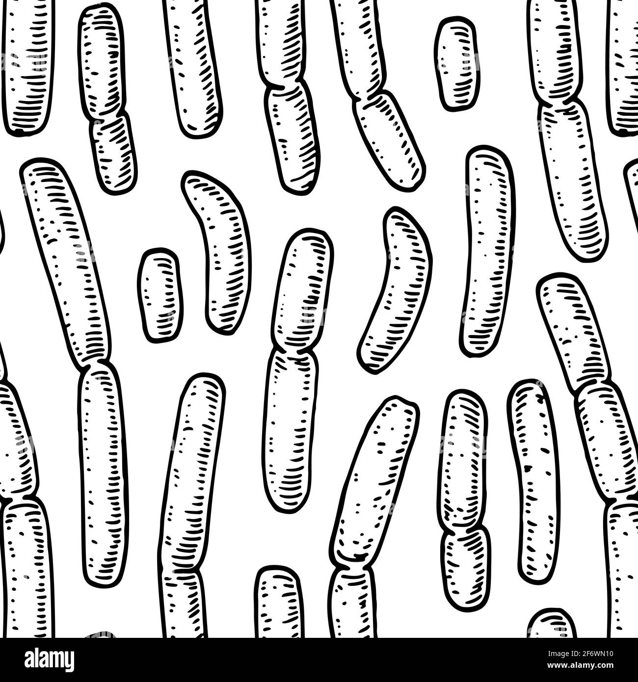 Nahtloses Bakterium-Muster in realistischem Skizzenstil. Handgezeichneter medizinischer Hintergrund. Vektorgrafik Stock Vektor