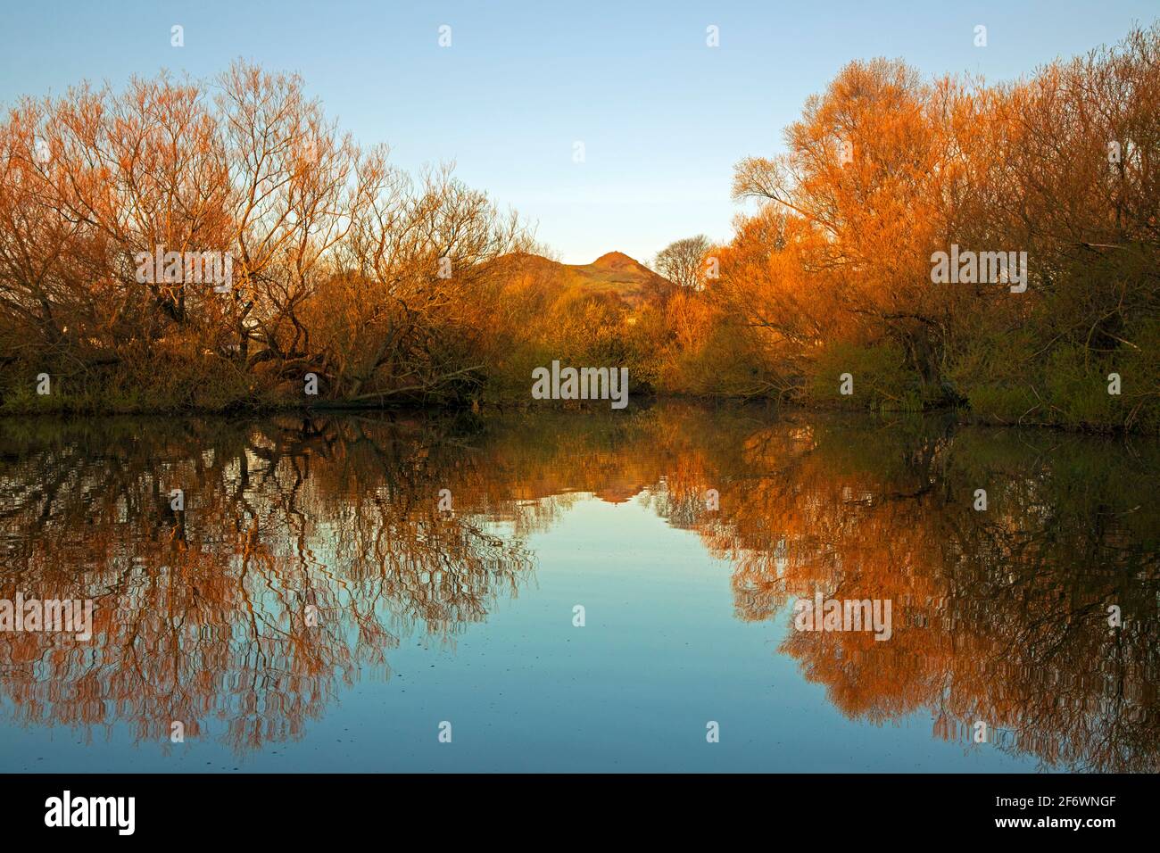 Figgate Park, Edinburgh, Schottland, UK Wetter. April 2021. Kühl 1 Grad kurz nach Sonnenaufgang am Park Teich mit Bäumen im stillen Wasser reflektiert. Arthur's Seat im Hintergrund. Stockfoto