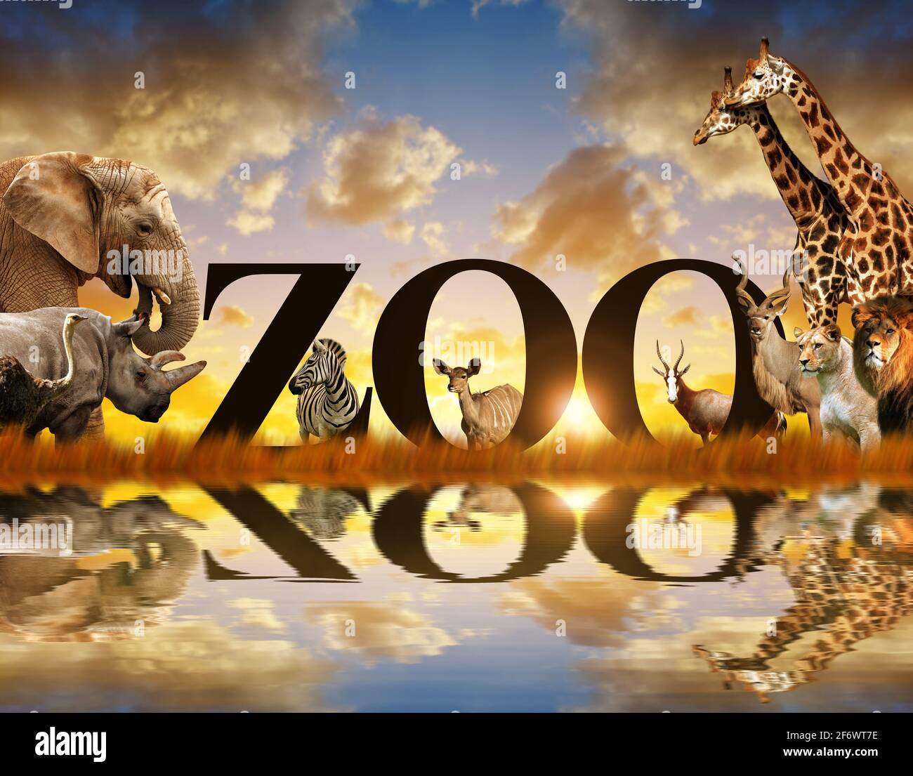 Wort Zoo und afrikanische Tiere. Elefant, Giraffe, Zebra, Löwe, Nashorn, kudu und Strauß auf der Savanne bei Sonnenuntergang. Stockfoto