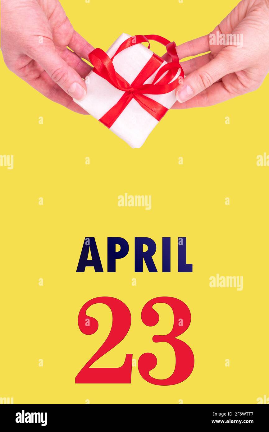 April. Festlicher Vertikaler Kalender Mit Händen Halten Weiße Geschenkbox Mit Rotem Band Und Kalender Datum 23. April Auf Leuchterdem Gelben Hintergrund. Stockfoto