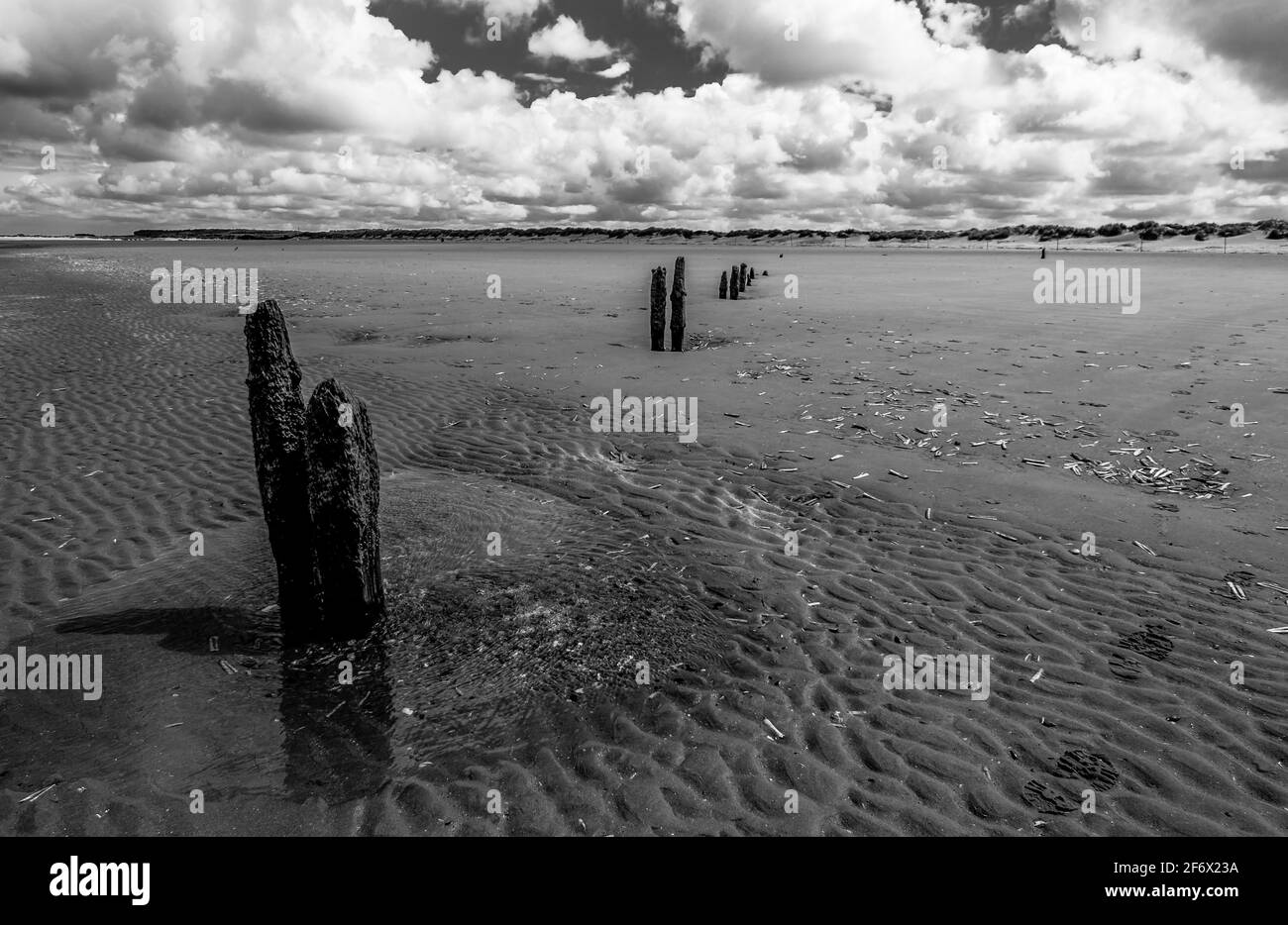 Verfaulte Holzpfähle / Groynes im plätschernden Sand am Strand in der Nähe von Brancaster / RSPB Titchwell Marsh, Norfolk, Großbritannien. S/W Stockfoto