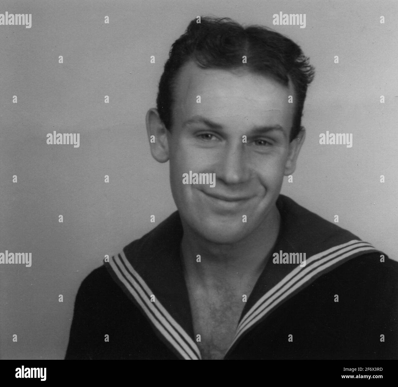 Schwalbe (abgebildet - Name).Schwalbe (abgebildet - Name) Stockfoto