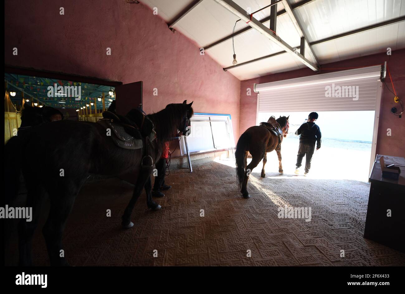 (210403) -- BURQIN, 3. April 2021 (Xinhua) -- Schüler des Internats Oymak führen die Pferde während einer Reitstunde im Kreis Burqin, nordwestlich der Autonomen Region Xinjiang Uygur in China, am 30. März 2021. Die Menschen in der Autonomen Region Xinjiang Uygur haben eine Tradition in der Pferdezucht und im Reiten. Die Oymak Boarding School begann Ende 2019 Reitunterricht anzubieten. Die Schüler, die meisten von ihnen kommen aus Hirtenfamilien, lernen sowohl theoretisches Wissen als auch Reitpraxis in Reitkursen. Nach dem Unterricht werden die Schüler körperlich stärker und lieben das Leben und die Natur mehr t Stockfoto