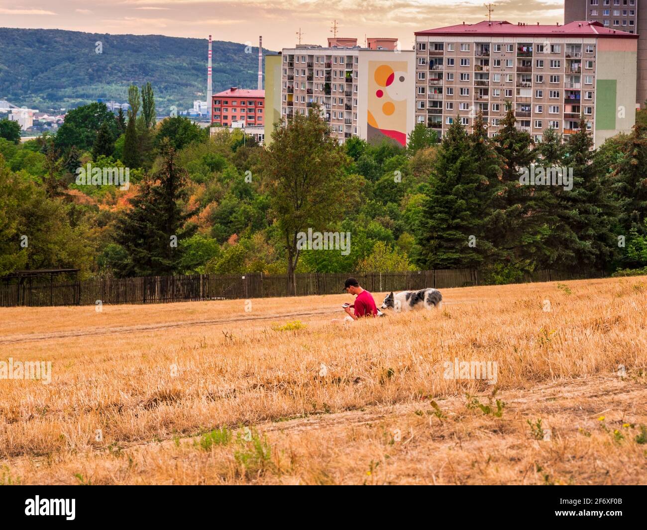 Usti nad Labem, Tschechische republik - 8.27.2018: Junger Mann mit Hund auf einer Wiese überprüft sein Smartphone Stockfoto Usti nad Labem, Tschechische republik - 8.27.2018: Junger Mann mit Hund auf einer Wiese überprüft sein Smartphone Stockfoto