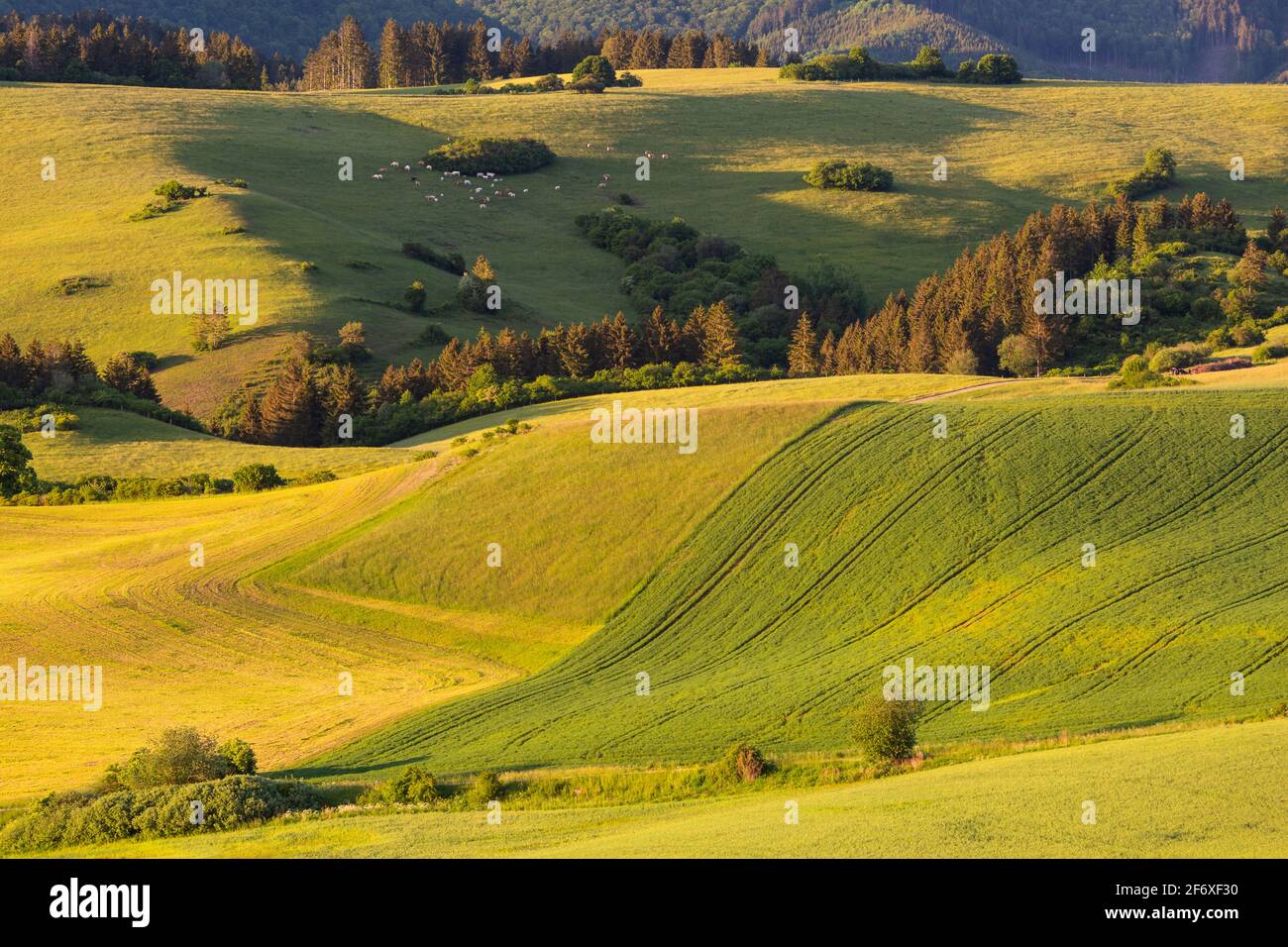 Landwirtschaftliche, ländliche Landschaft in den Ausläufern der Velka Fatra, Slowakei. Stockfoto
