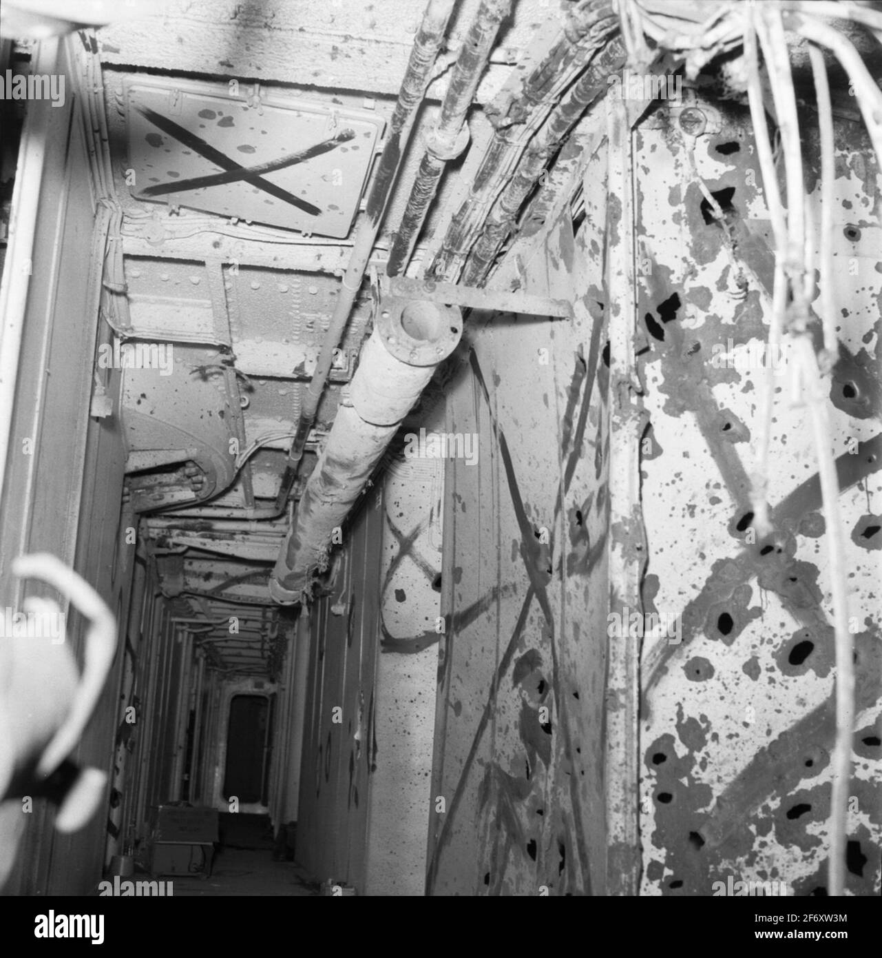 Fylgia nach der Schießerei ausgesetzt.Fylgia (abgebildet - Name) Stockfoto