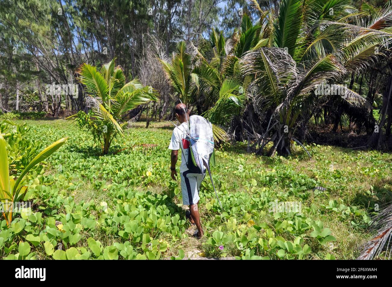 La Digue Island, Seychellen - 21. Juni 2009 : Einheimischer Seychellois fand und transportierte einen indopazifischen Seefisch (Istiophorus platypterus) und fand mich Stockfoto