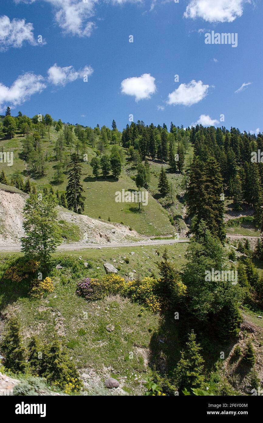 Bergstraße im Kaukasus in der Nähe des Borjomi-Nationalparks (Georgien) Stockfoto