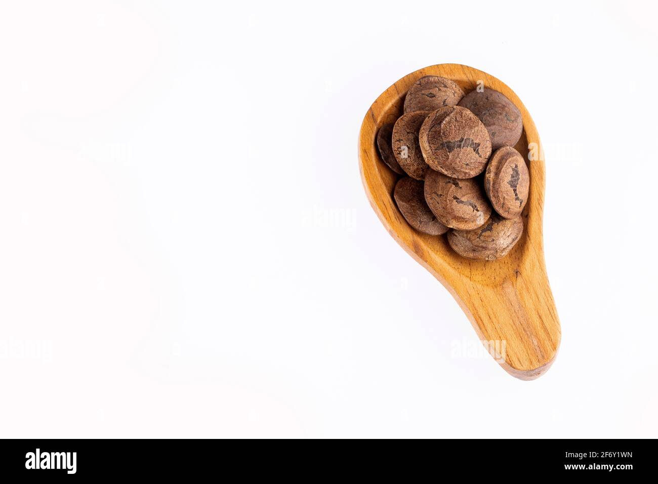 Getrocknete Samen von sacha Fruit - Inchi Erdnüsse - Plukenetia volubilis Stockfoto