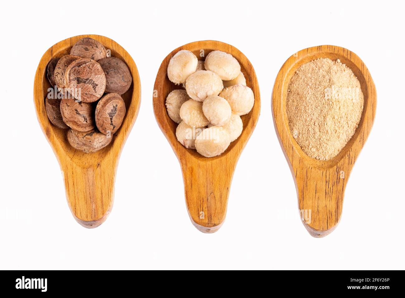 Getrocknete Samen von sacha Fruit - Inchi Erdnüsse - Plukenetia volubilis Stockfoto
