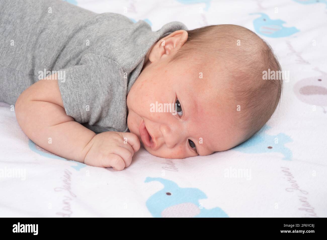 Neugeborener Baby Junge 7 Wochen alt wachsam Nahaufnahme auf Magen Kopf zur Seite gedreht Stockfoto
