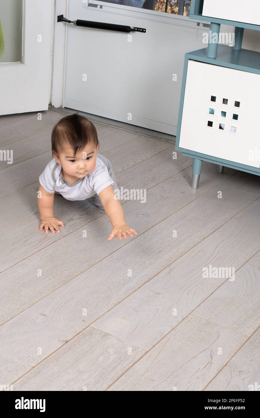 8 Monate alter Junge kriecht auf dem Boden Stockfoto