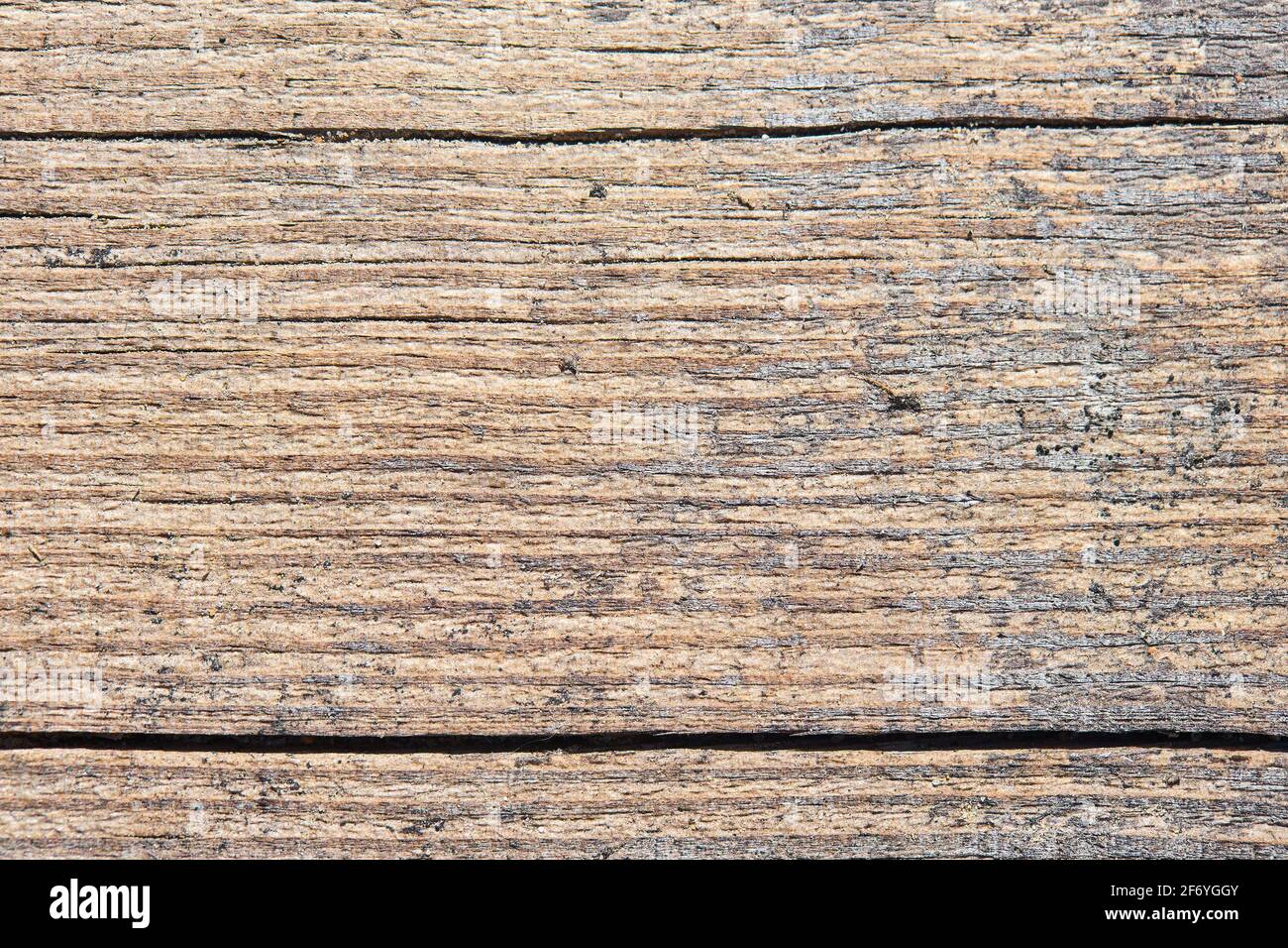 Alte sandige verwitterte, gewaschene Holzstruktur mit horizontalen Rissen und Flusssandkörnern. Natürliche strukturierte Nahaufnahme trocken Plank Hintergrund. Stockfoto