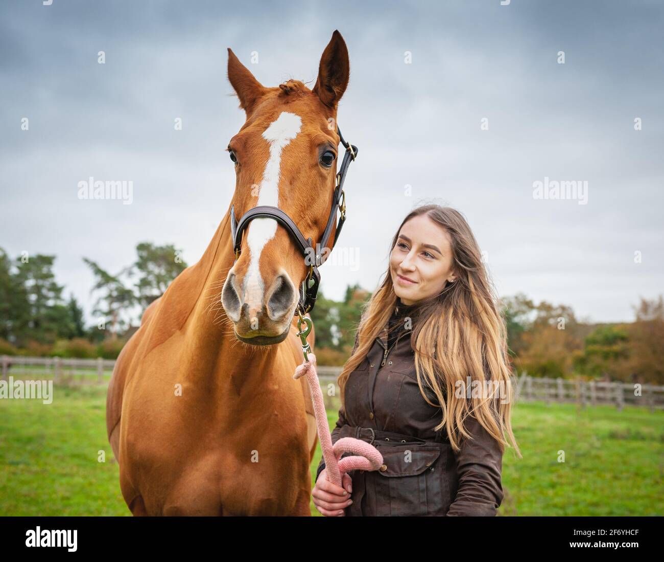 Pferdebesitzer mit Kastanienpferd Stockfoto