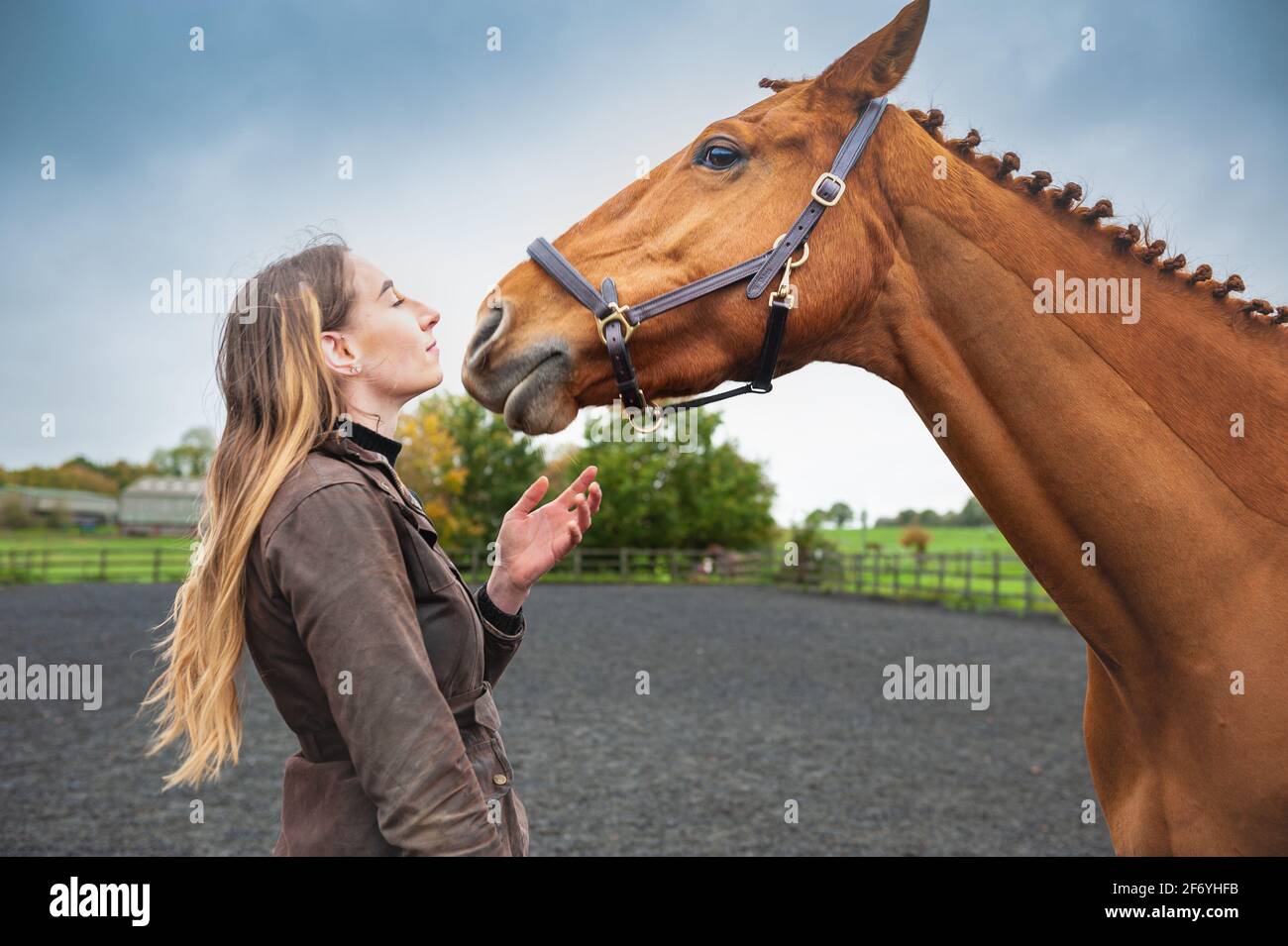 Mädchen Nase zu Nase mit Pferd Stockfoto