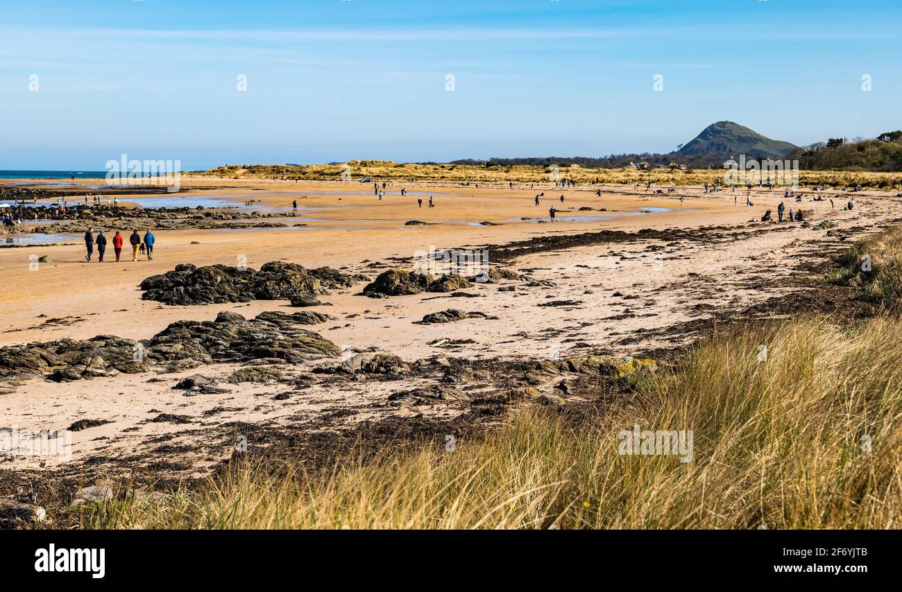 East Lothian, Schottland, Großbritannien, 3. April. 2021. UK Wetter: Sonnenschein am Yellowcraig Strand. Die warme Sonne am Osterwochenende bringt die Menschen raus, um die Natur an der Küste zu genießen. Der Strand ist voll, aber bei Ebbe gibt es genug Platz für alle während der Covid-19 Pandemie Stockfoto