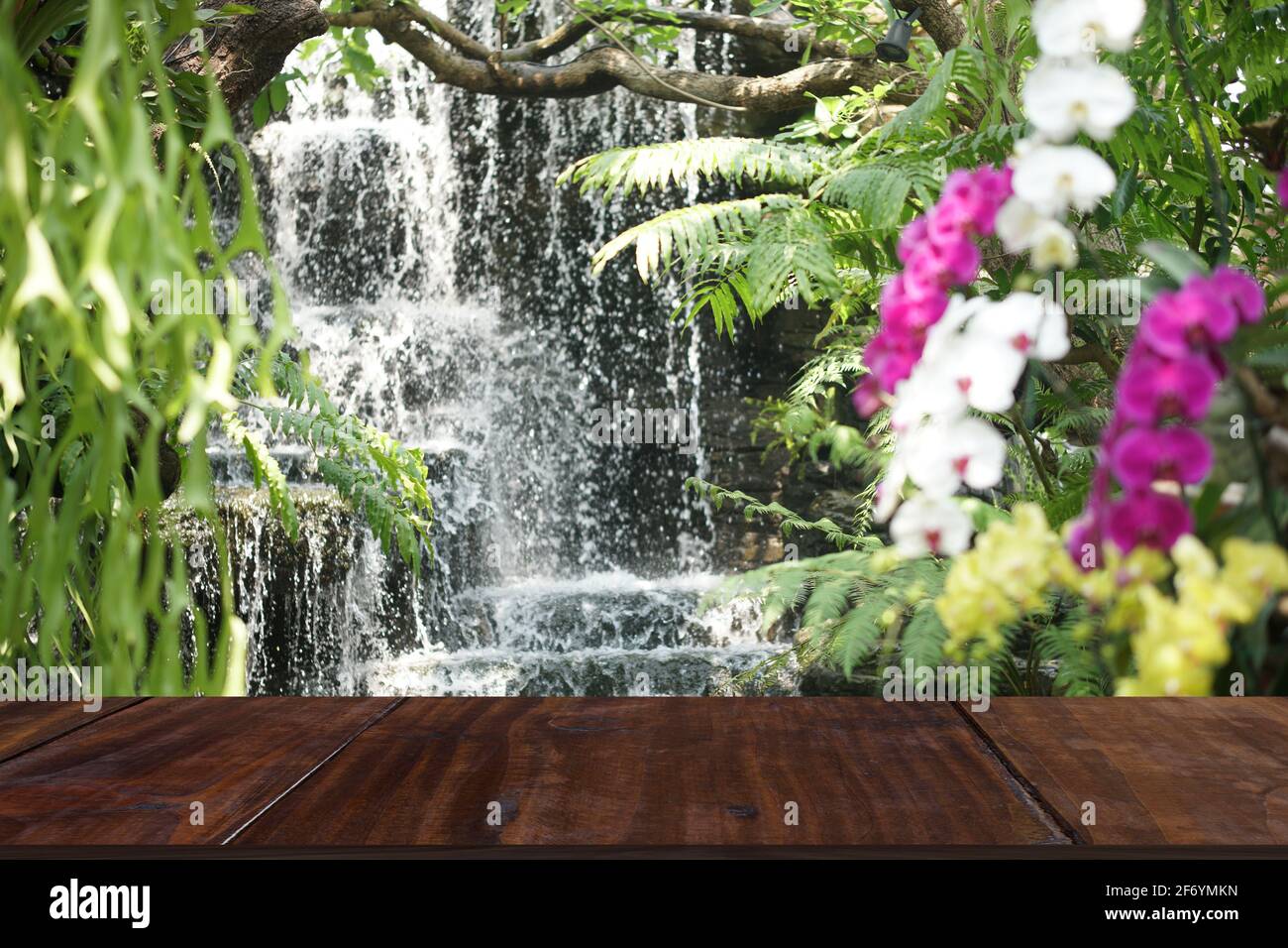 bach Wasserfluss Wasserfall fließt in botanischen Garten Stockfoto