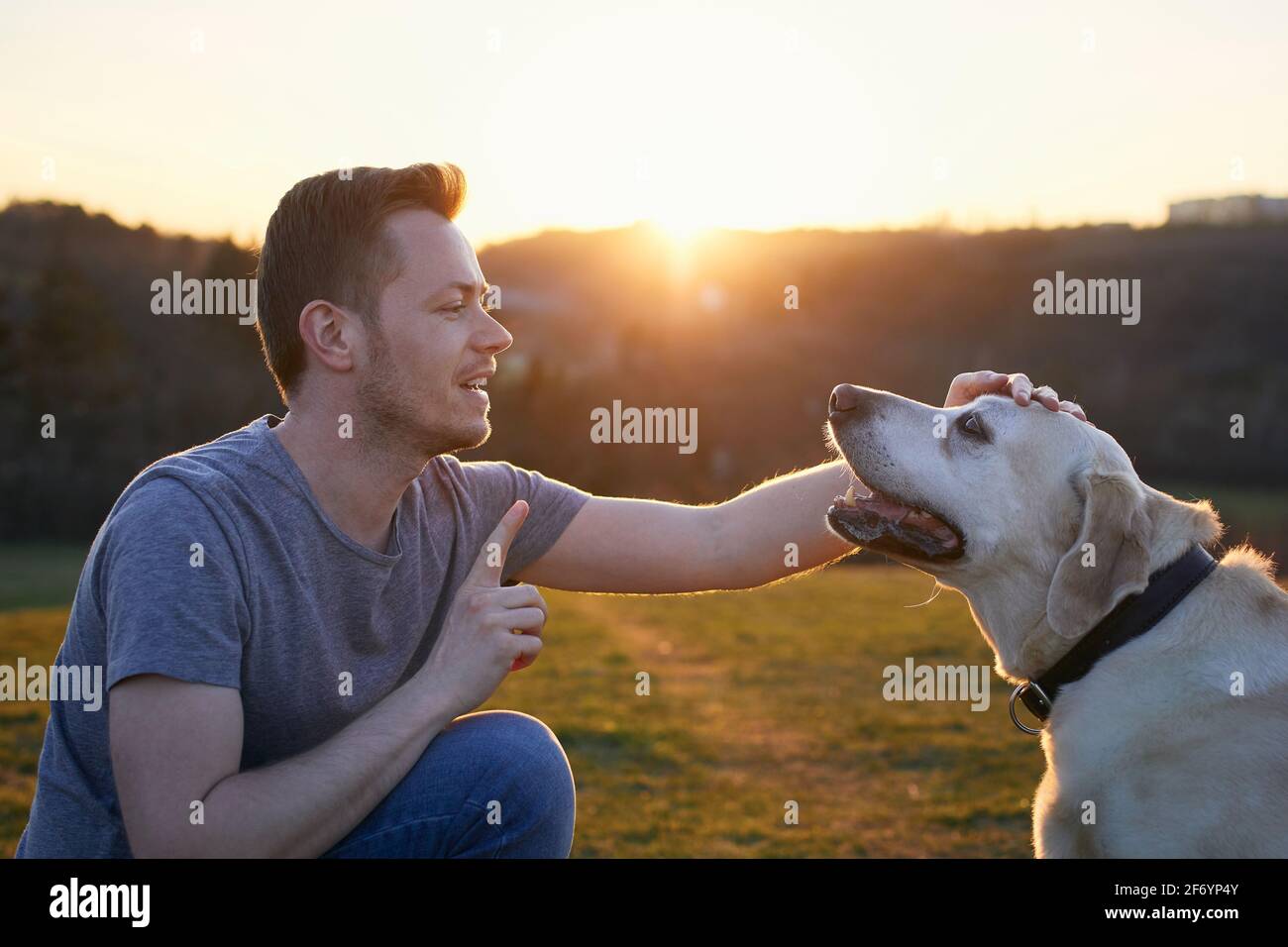 Mann lehrt seinen Hund. Tierbesitzer mit labrador Retriever auf der Wiese bei Sonnenuntergang. Stockfoto