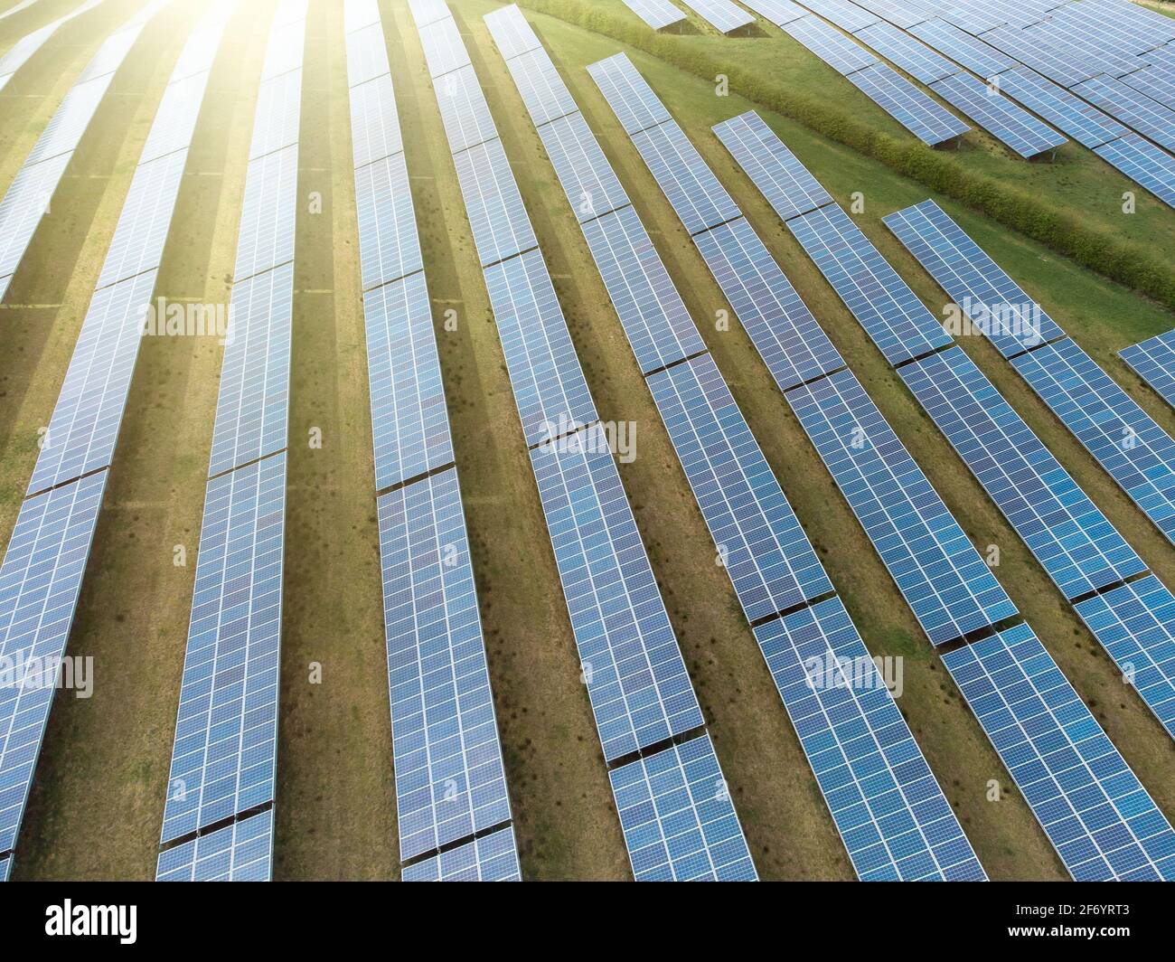 Sonne geht über Solarpanel-Farm in Reihen über sonnigem Feld auf. Erneuerbare grüne Stromerzeugung mit strahlendem Sonnenschein Luftaufnahme Drohne Stockfoto