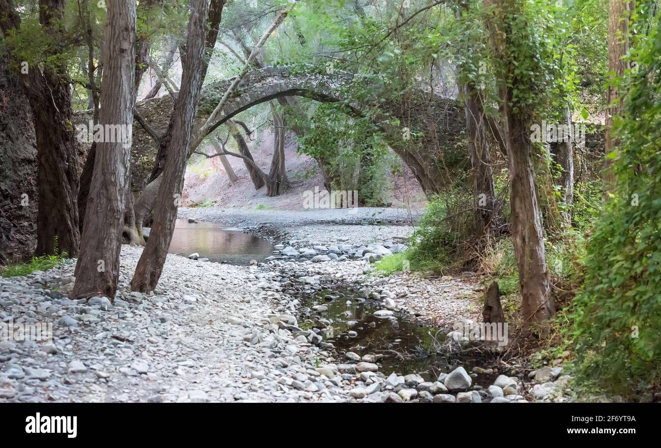 Kelefos (Tzelefos) alte Steinbrücke im Paphos Wald, Zypern. Die Brücke wurde von den Venezianern im 16. cеntury erbaut Stockfoto