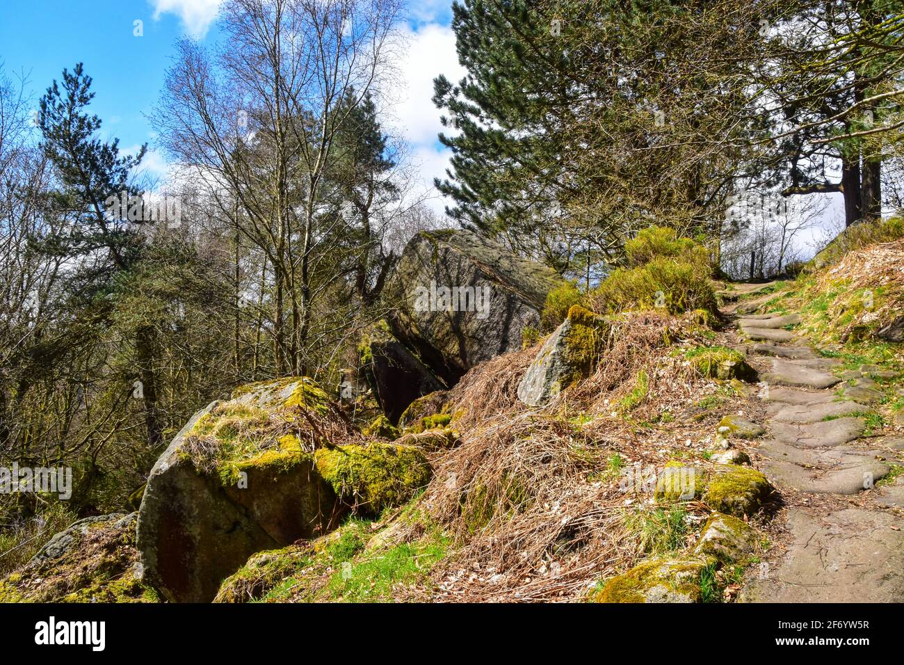 Causey Path und Slurring Rock, Hardcastle Crags, National Trust, Hebden Bridge, West Yorkshire Stockfoto