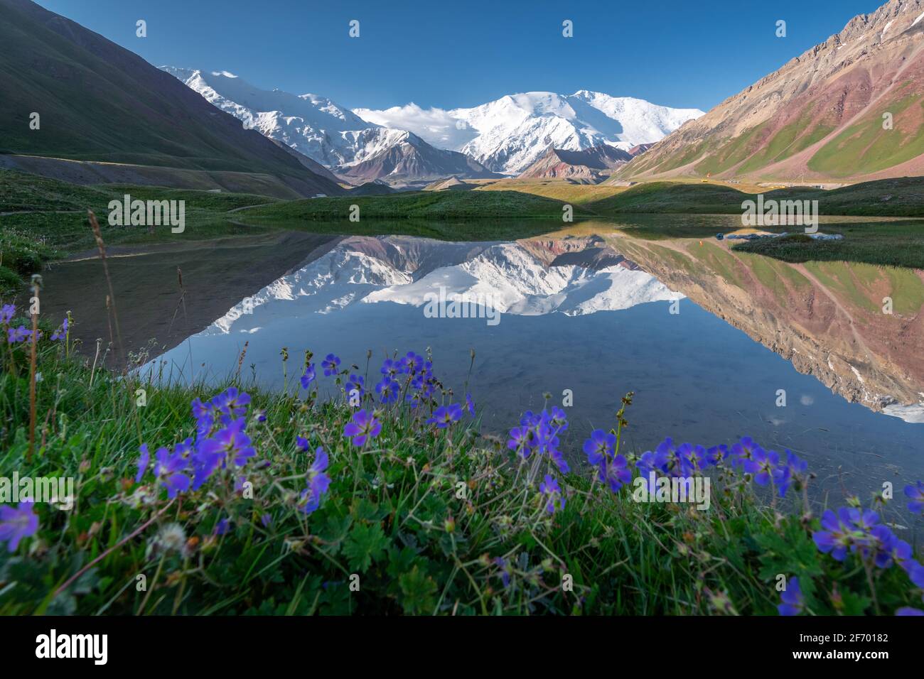 Malerischer Blick auf das Lenin Peak-Massiv vom Achik-Tash Basislager aus mit Blumen und Spiegelungen in der Gletscherlagune, Kirgisistan Stockfoto