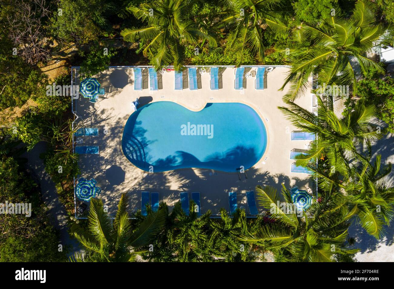 Luftaufnahme des Swimmingpools mit Palmen, Key Largo Florida USA Stockfoto